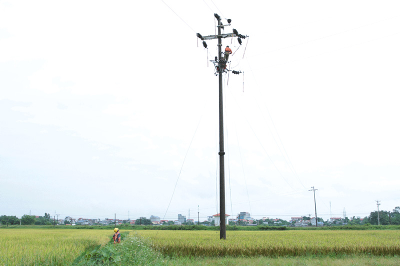 Xử lý nghiêm những trường hợp vi phạm trong lĩnh vực điện lực