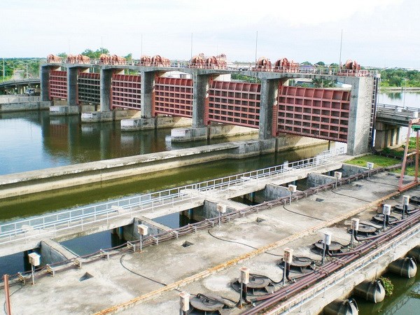 Cách chống hạn, ngăn lũ chỉ bằng 
