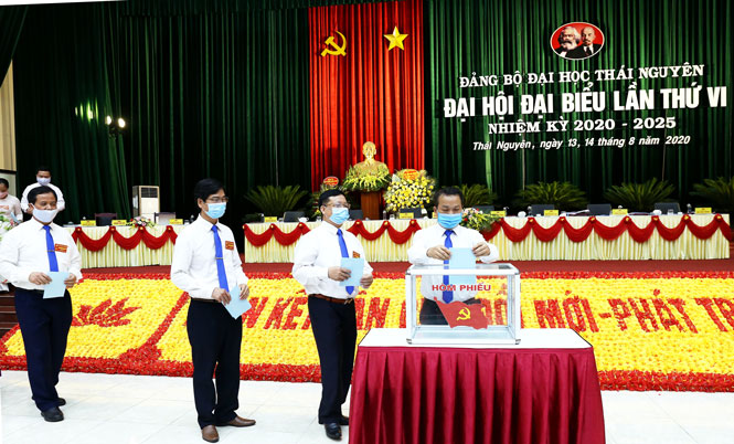 Phát huy thế mạnh đại học vùng tạo nguồn lực mạnh về đào tạo, nghiên cứu khoa học và chuyển giao công nghệ