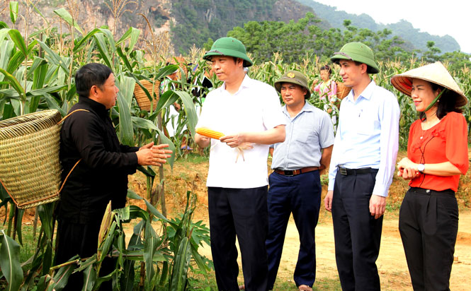 Nỗ lực tạo bứt phá trong nhiệm kỳ mới