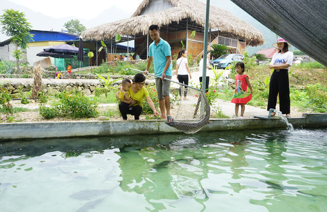 Phát triển mô hình nông nghiệp gắn với du lịch sinh thái