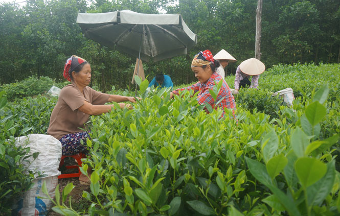 Phát huy vai trò “cầu nối” giữa Đảng với dân