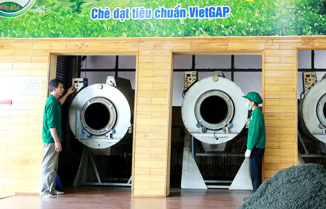 Ngành chè năng động vượt khó