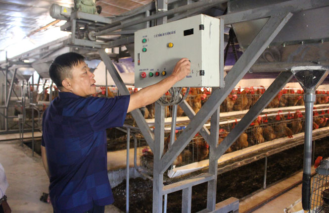 Tỷ phú nông dân trên đất “phố”