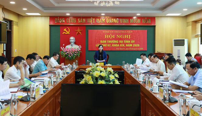 Nhiệm vụ trọng tâm là tổ chức thành công Đại hội Đảng bộ tỉnh