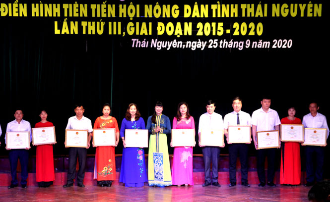 Nhân rộng các điển hình tiên tiến trong hội viên nông dân