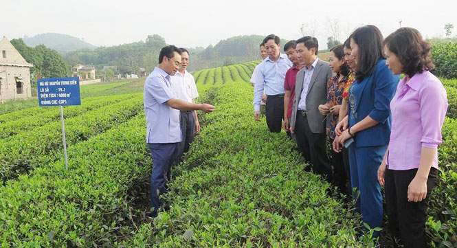 Tập trung phát triển kinh tế - xã hội, thúc đẩy tăng trưởng, nâng cao chất lượng đời sống nhân dân
