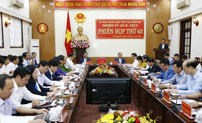 Phấn đấu hoàn thành các chỉ tiêu, nhiệm vụ năm 2020