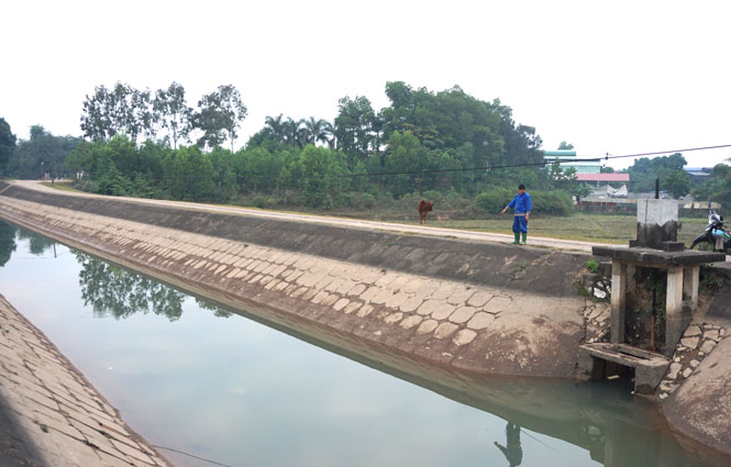 Không lo thiếu nước sản xuất vụ xuân
