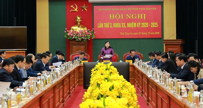 Nghị quyết của Ban Chấp hành Đảng bộ tỉnh về Chương trình chuyển đổi số tỉnh Thái Nguyên, giai đoạn 2021-2025 định hướng đến năm 2030