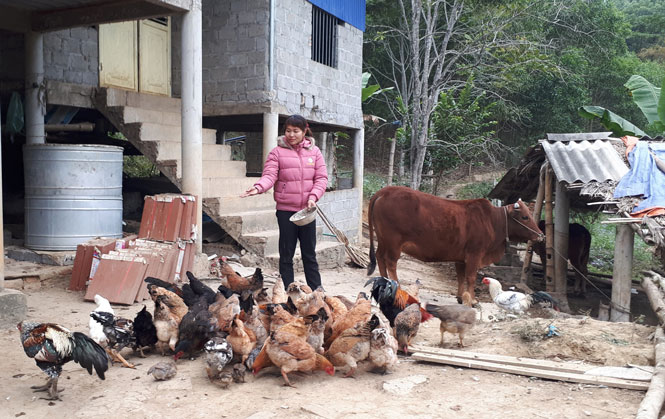 Đa dạng các giải pháp giảm nghèo