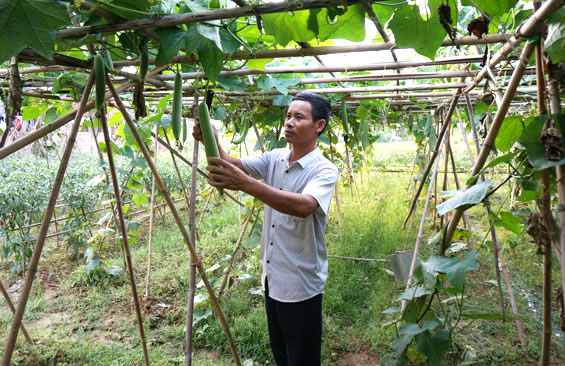 Chú trọng phát triển đảng viên trong đồng bào công giáo