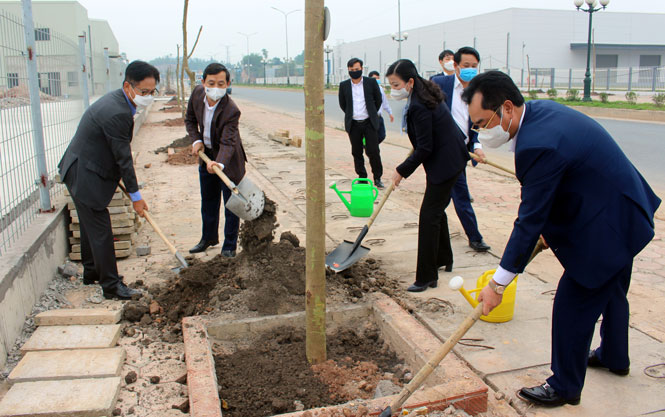 Phát động Tết trồng cây 