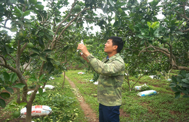 Chú trọng tạo nguồn phát triển đảng viên trẻ