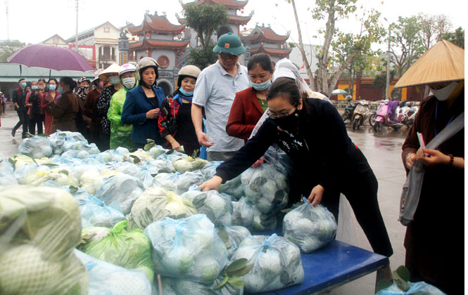Hỗ trợ tiêu thụ gần 40 tấn nông sản giúp nông dân Hải Dương