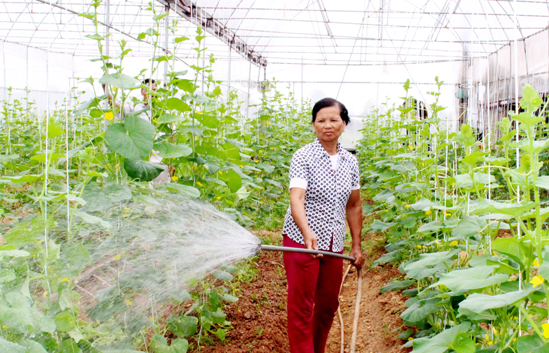 Phú Bình hoàn thành 5/9 tiêu chí của huyện nông thôn mới