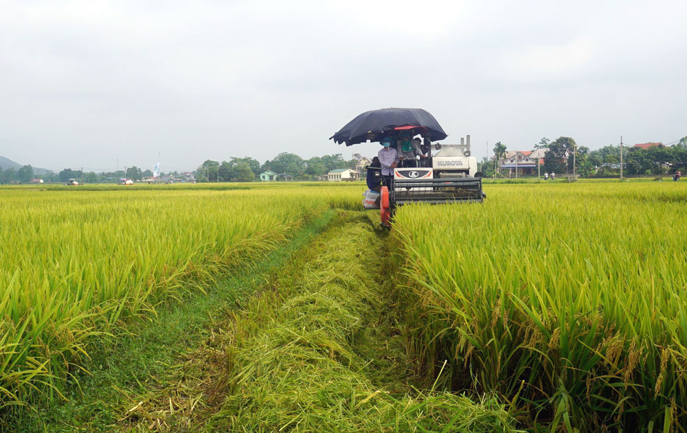 Vui mùa bội thu