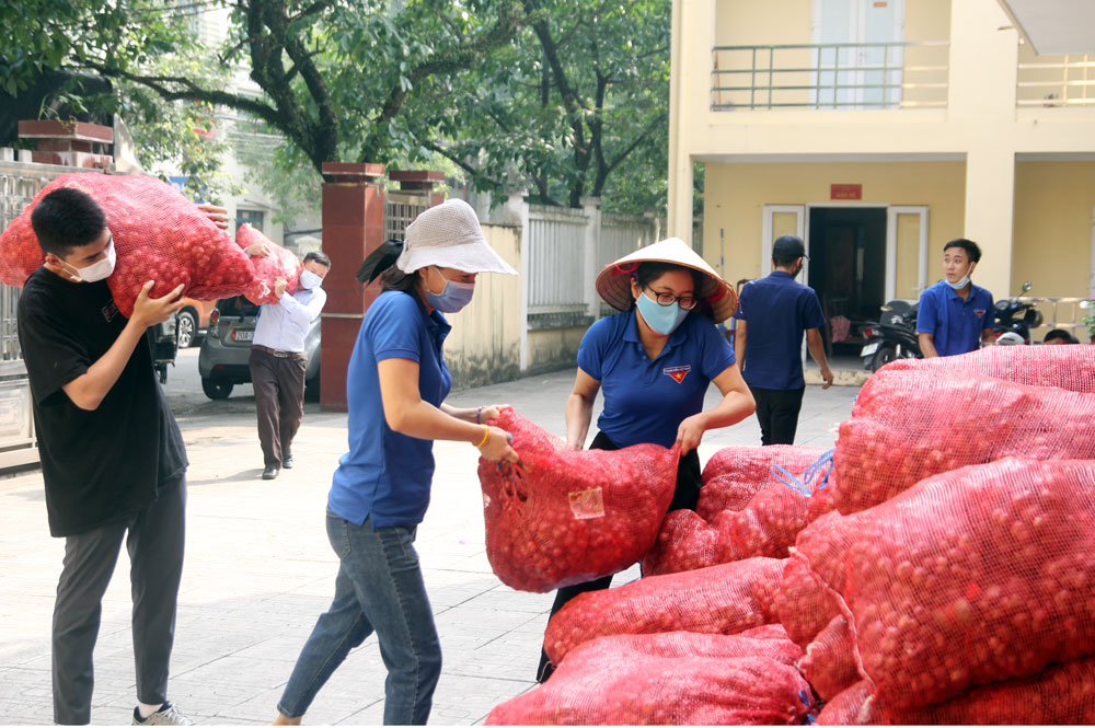 Hỗ trợ tiêu thụ nông sản mùa dịch