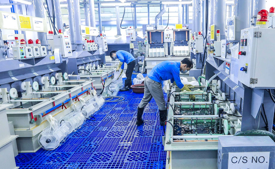 Nỗ lực về đích mục tiêu xuất khẩu