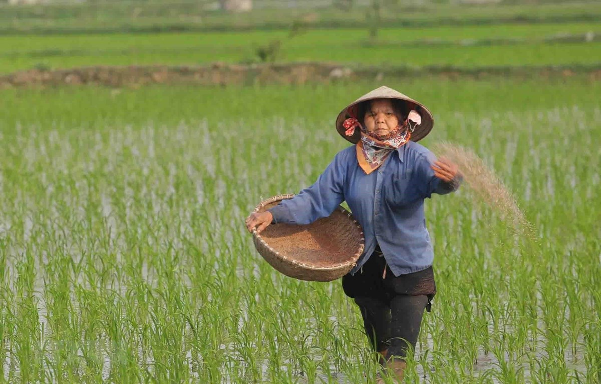 Phát triển kinh tế khi nông thôn đẹp về diện mạo, mới về chất