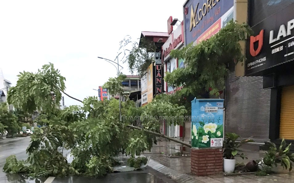 T.P Thái Nguyên: Thiệt hại đáng kể về tài sản do mưa lớn