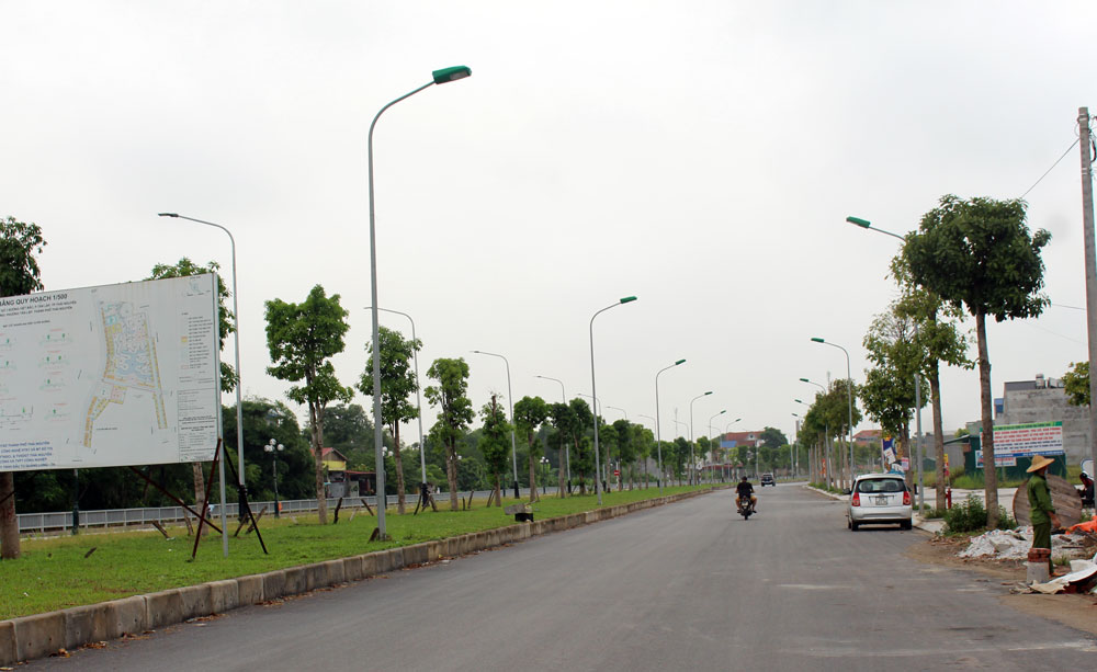 T.P Thái Nguyên: Trồng mới được trên 30.000 cây xanh