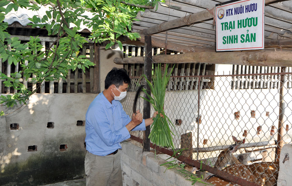 Tạo động lực phát triển sản phẩm OCOP