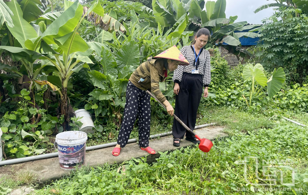 Lợi ích kép từ sử dụng men vi sinh IMO