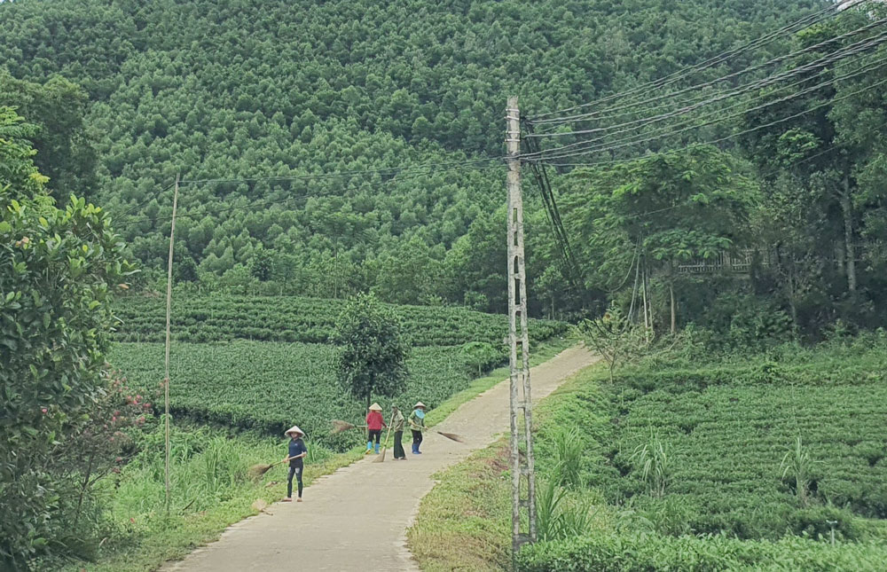 Vào Ba Vũng hôm nay