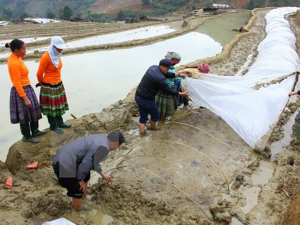Không khí lạnh bổ sung, miền Bắc trời tiếp tục rét và có mưa