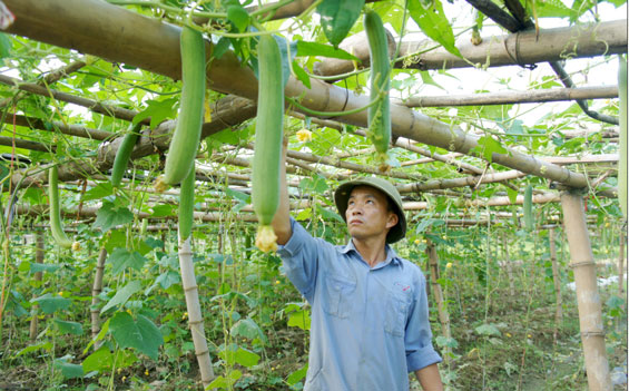 Phản ứng kịp thời với những tình huống thiên tai