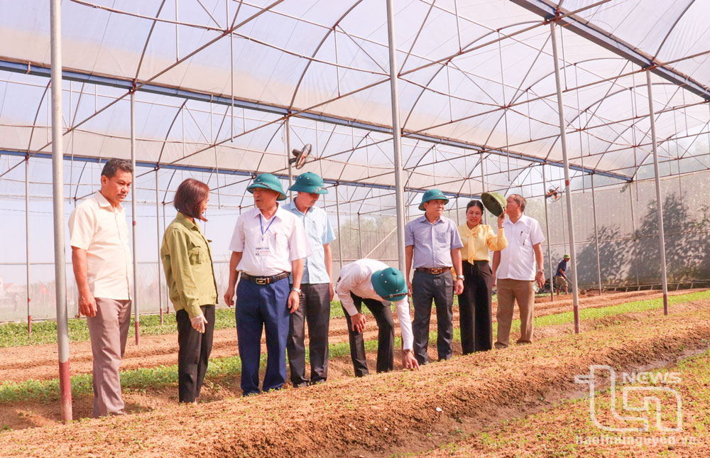 Phú Bình: Thêm 2 xã đủ điều kiện trình công nhận đạt chuẩn nông thôn mới nâng cao