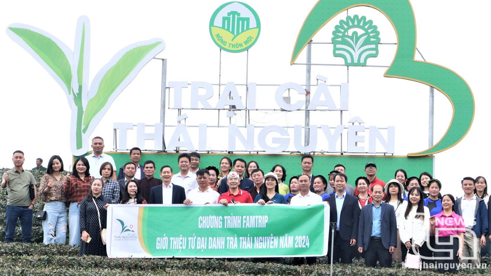 Doanh thu từ du lịch tăng trên 44%