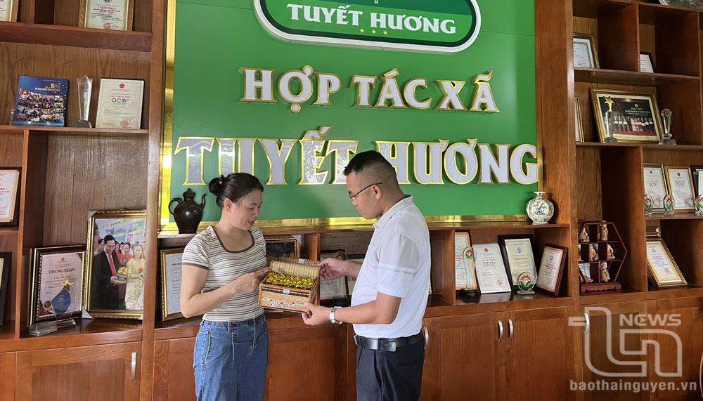 Thúc đẩy phụ nữ khởi nghiệp, đổi mới sáng tạo
