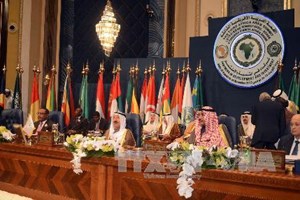 Các nước Arab và châu Phi cam kết ưu tiên hợp tác