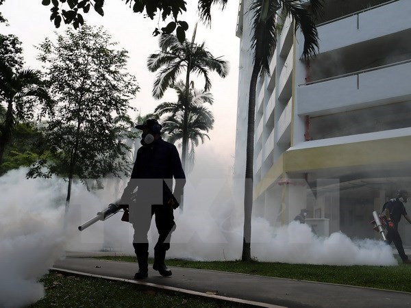 Virus Zika đã xuất hiện tại 73 nước và vùng lãnh thổ trên thế giới