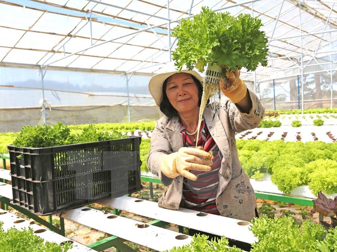 Kinh nghiệm làm giàu tiền tỷ của những người nông dân xuất sắc