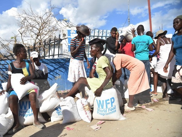 LHQ gia hạn thêm 6 tháng sứ mệnh tại Haiti sau cơn bão Matthew