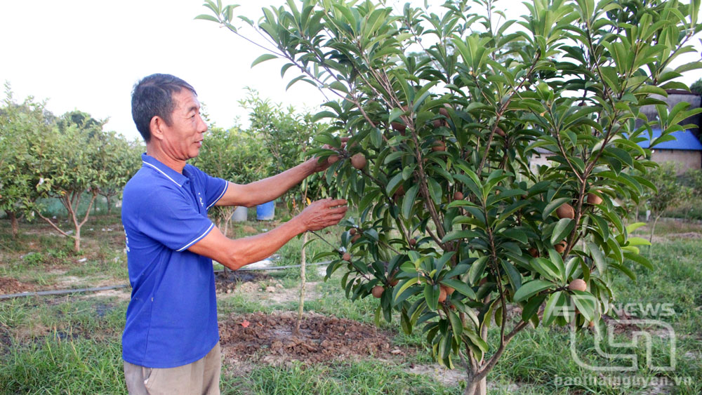 Nhận ủy thác gần 171 tỷ đồng cho hội viên nông dân vay vốn