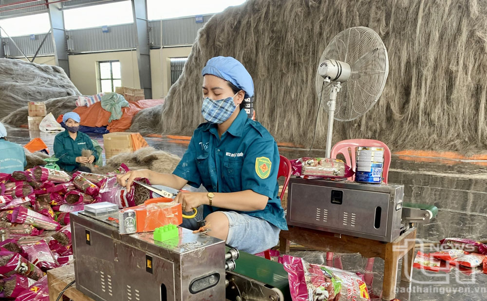 Vẫn khát vốn vay giải quyết việc làm