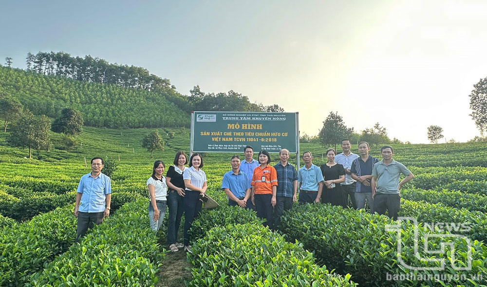 Bắt nhịp với nông nghiệp xanh