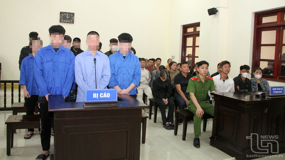 Thanh, thiếu niên phạm tội: Hồi chuông cảnh tỉnh từ những phiên tòa