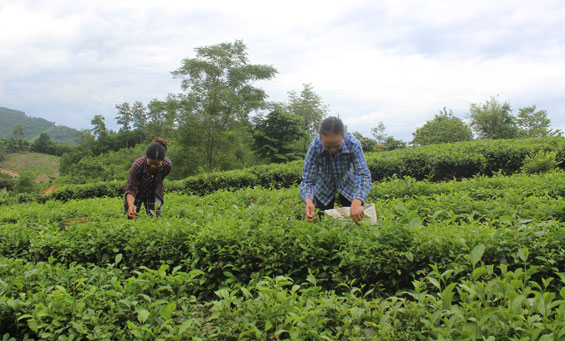 Hỗ trợ hộ nghèo, chính sách phát triển kinh tế