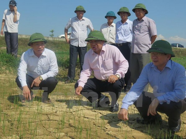 Người dân Nghệ An đang phải gồng mình chống lại hạn hán
