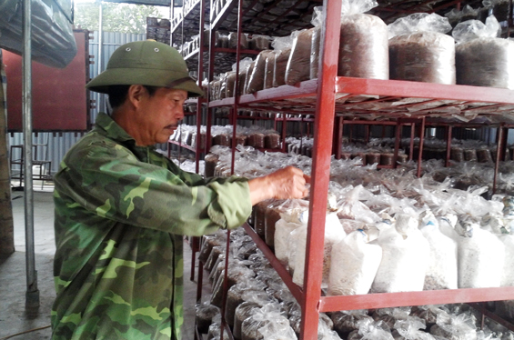 Chú trọng đào tạo nghề và hỗ trợ nông dân