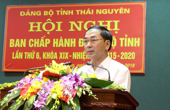 Hội nghị Ban chấp hành Đảng bộ Tỉnh lần thứ 6 khóa XIX: Thảo luận và quyết định nhiều nội dung