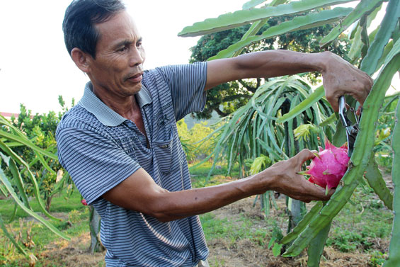Đổi thay từ thực hiện Chương trình