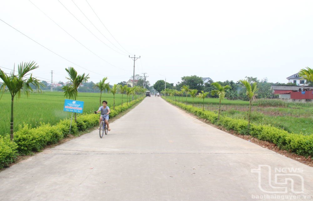 Nhân lên những tuyến đường xanh - sạch - đẹp