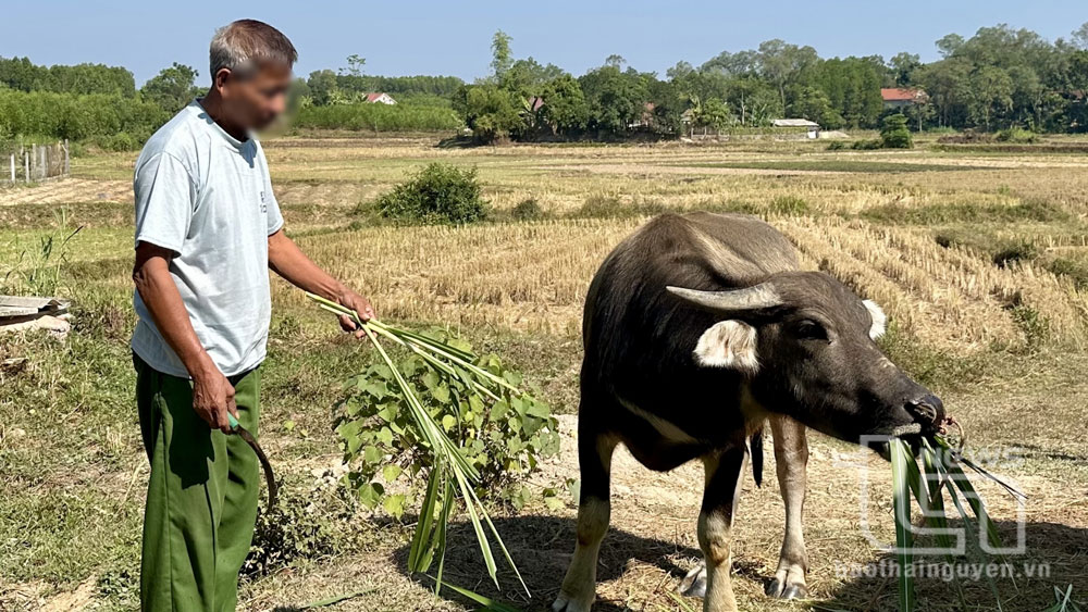 Trên 25 tỷ đồng cho vay ưu đãi đối với người chấp hành xong án phạt tù