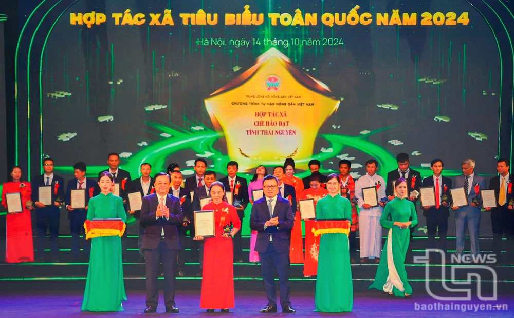 Hợp tác xã chè Hảo Đạt: Khát vọng nâng tầm chè đặc sản Tân Cương